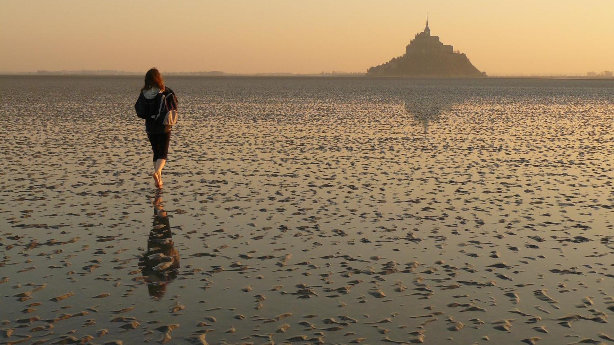 Chateau De Bouceel - Mont Saint Michel Vergoncey Dış mekan fotoğraf